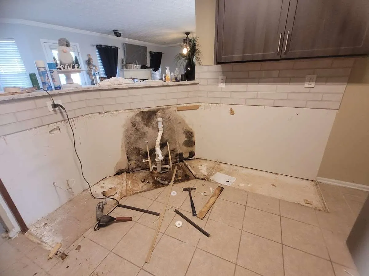 Mold behind wall with plumbing during Flood Damage Cleanup in Toronto
