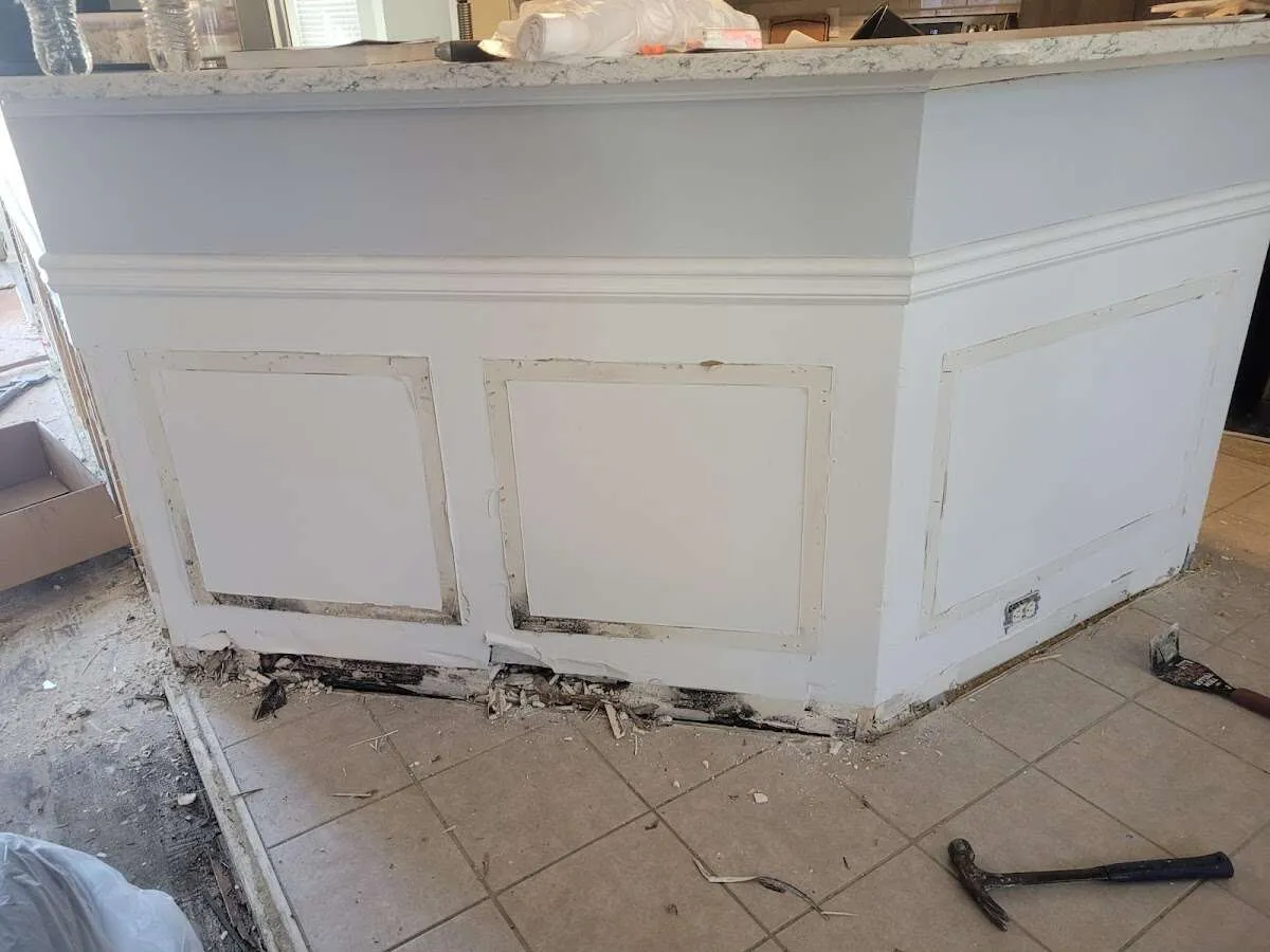 Water damage and mold on kitchen during Mold Inspection & Testing in Toronto
